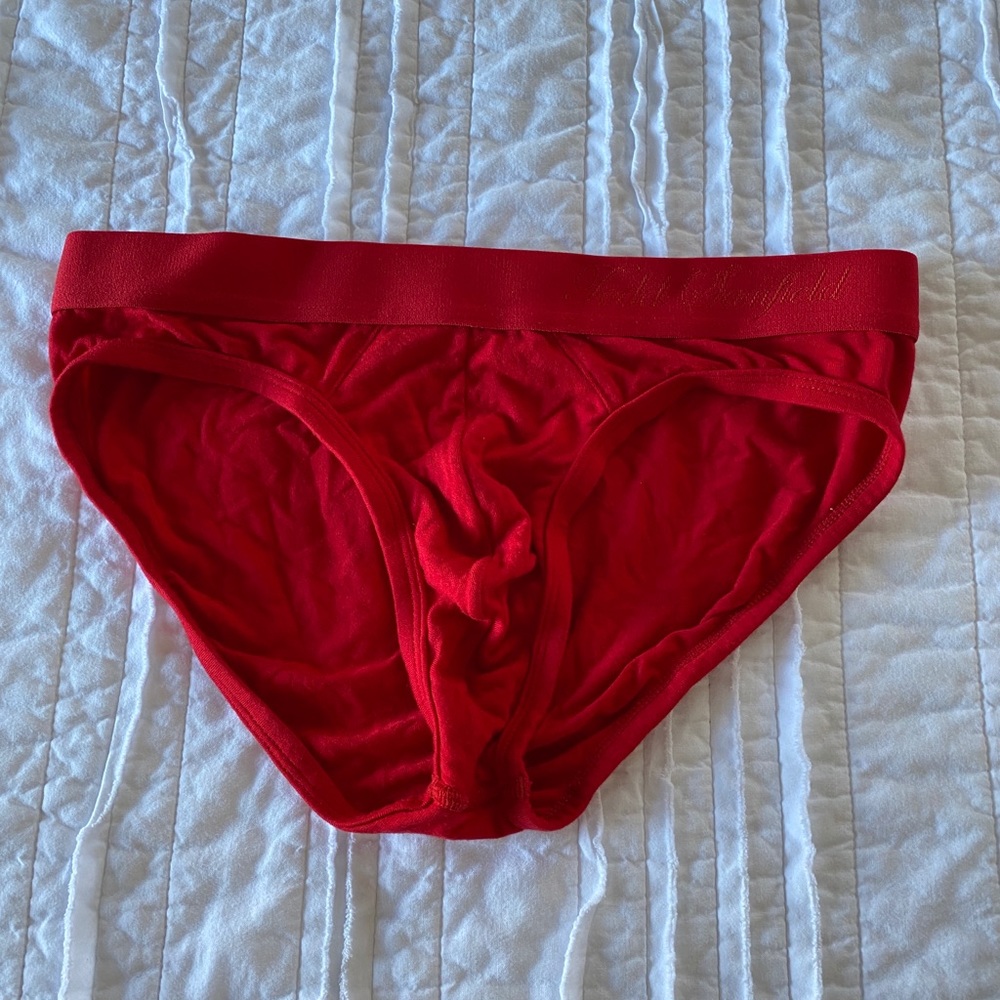 Todd Sanfield Ultra-Soft Modal Briefs